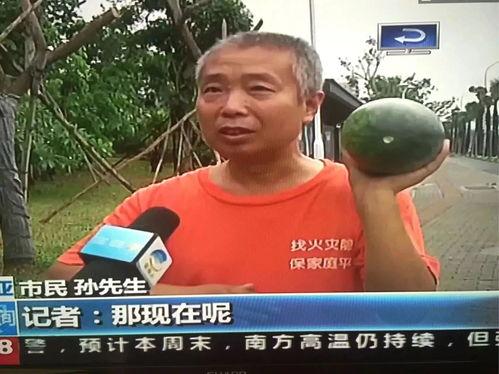 网红吃瓜热点事件视频,揭秘幕后真相，带你领略网络热点的魅力